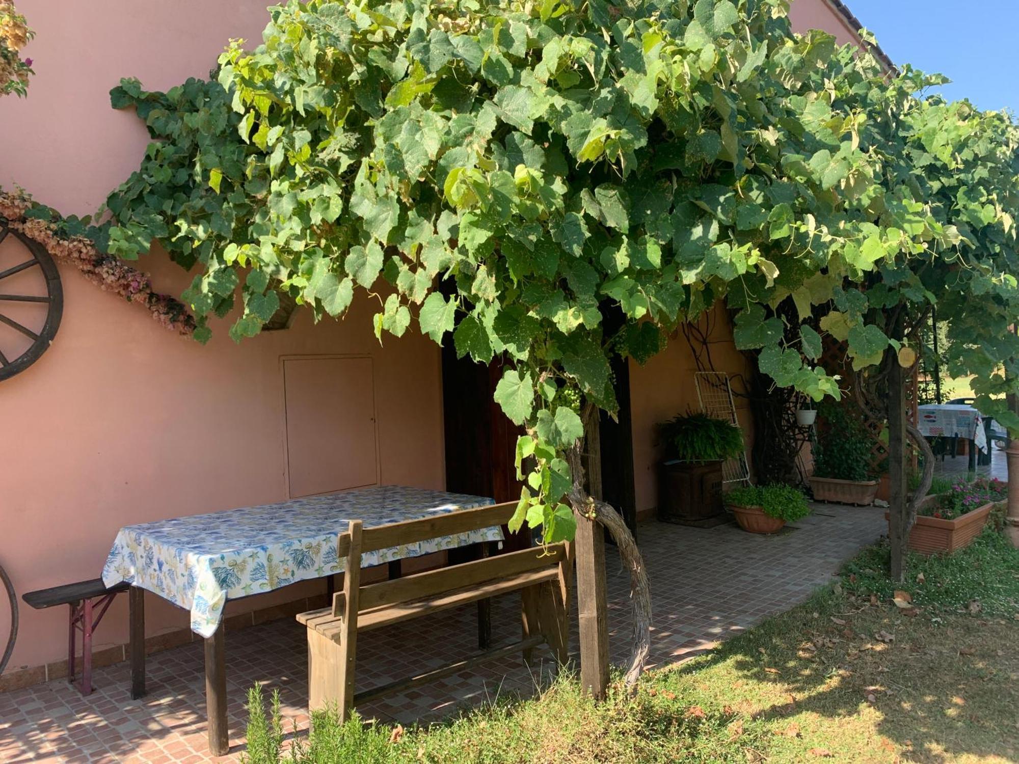 Podere Girasoli Piombino Exteriör bild